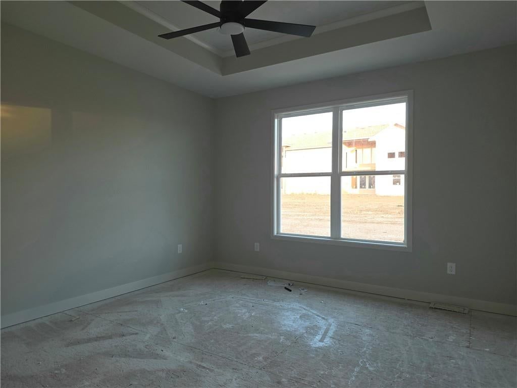 Tray ceiling at 14594 Amanda Lane, Basehor, KS 66007