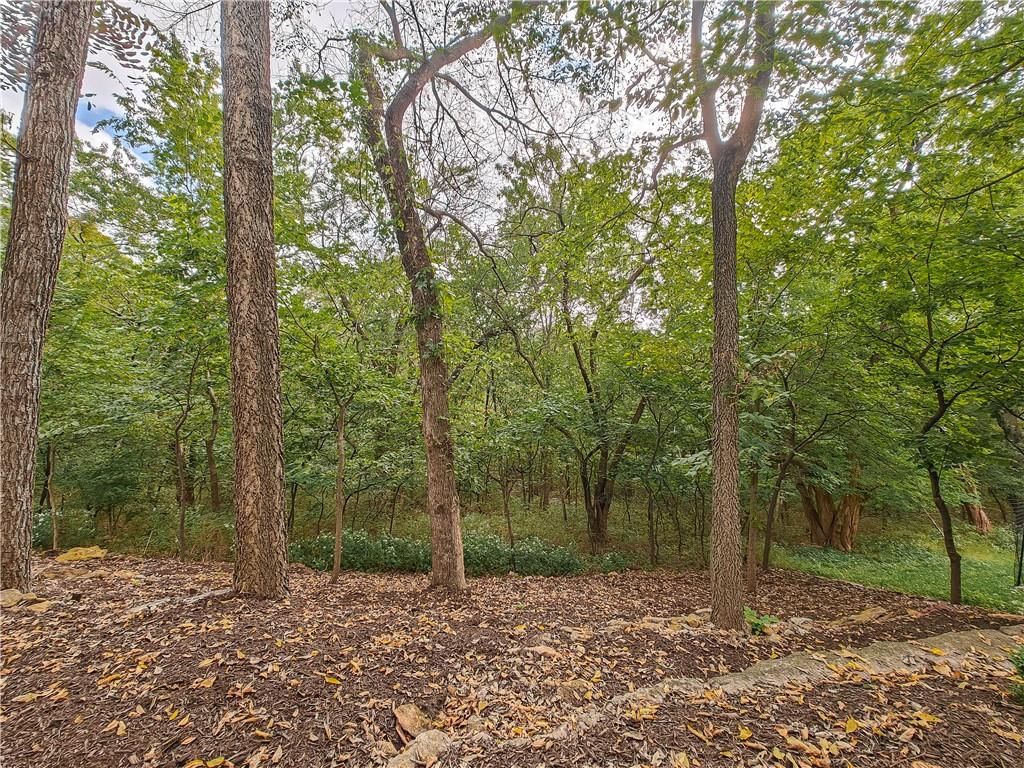 11151 S Whitetail Lane — photo 53