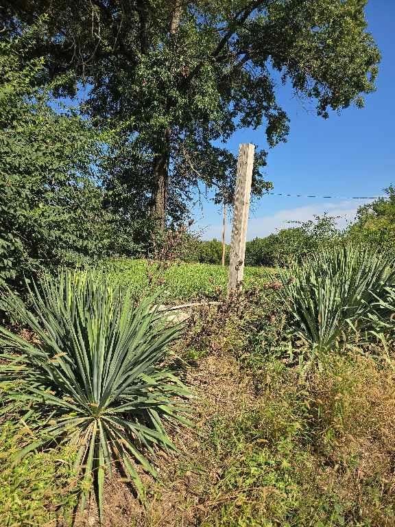 26669 New Lawrence Drive — photo 48