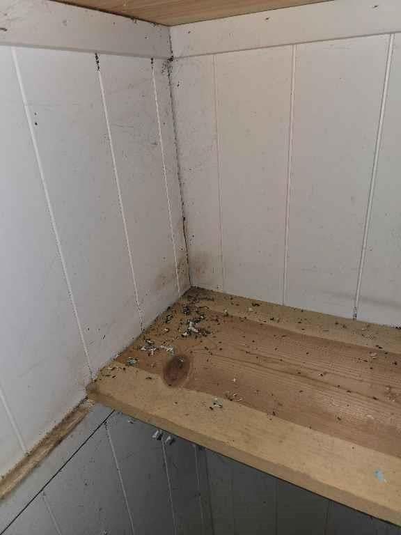 26669 New Lawrence Drive — photo 73
