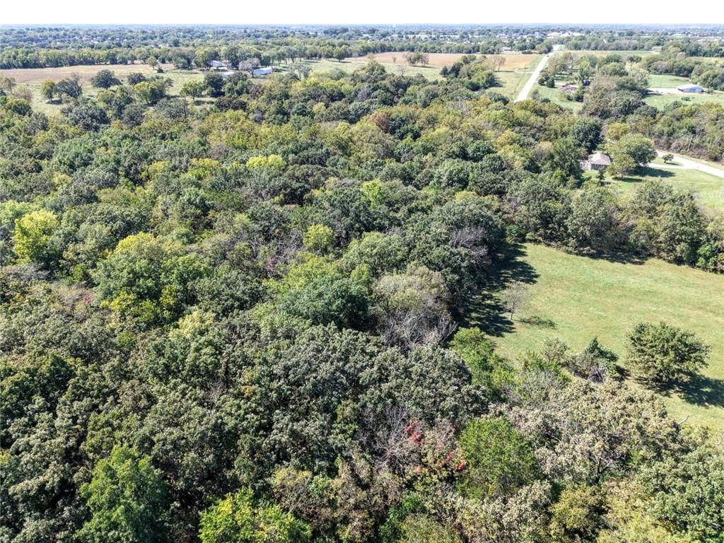 Lot 4/Tract 4A E State Route VV, Pleasant Hill, MO: listing photo 3