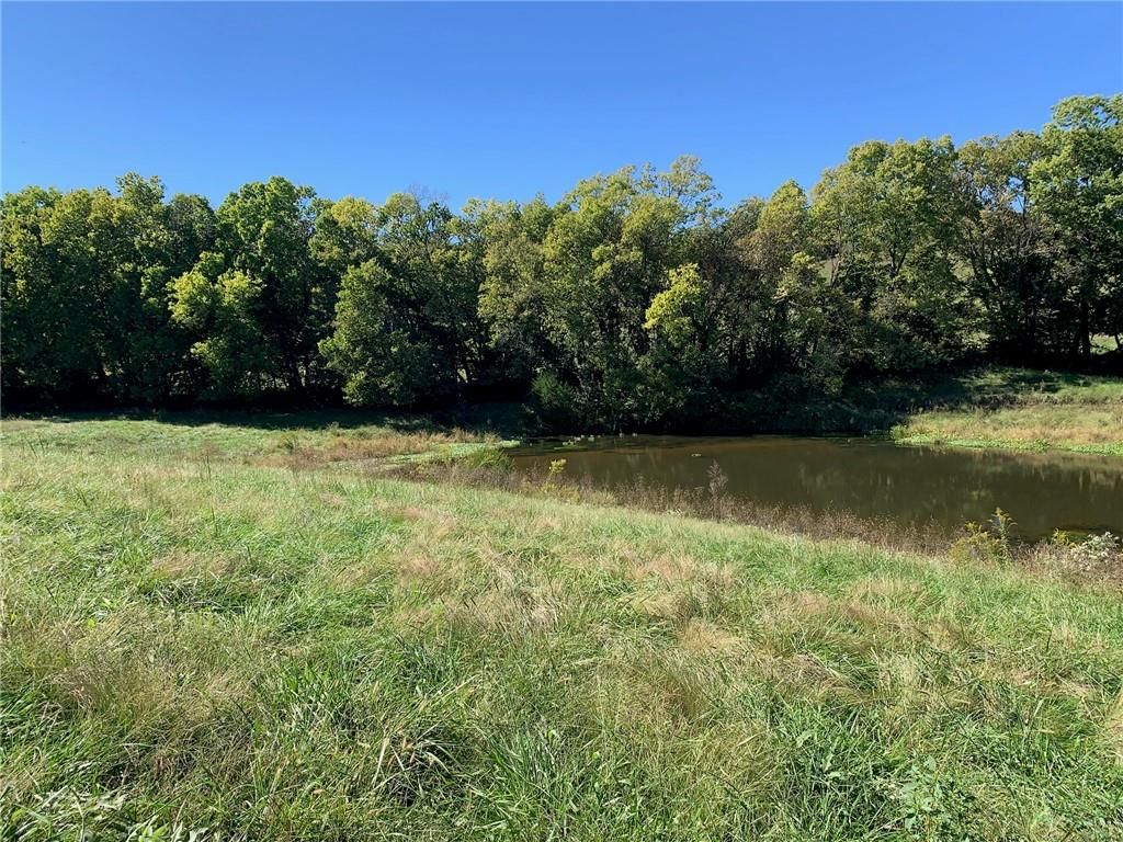 21755 Grass Pad Road, Platte City, MO: listing photo 2