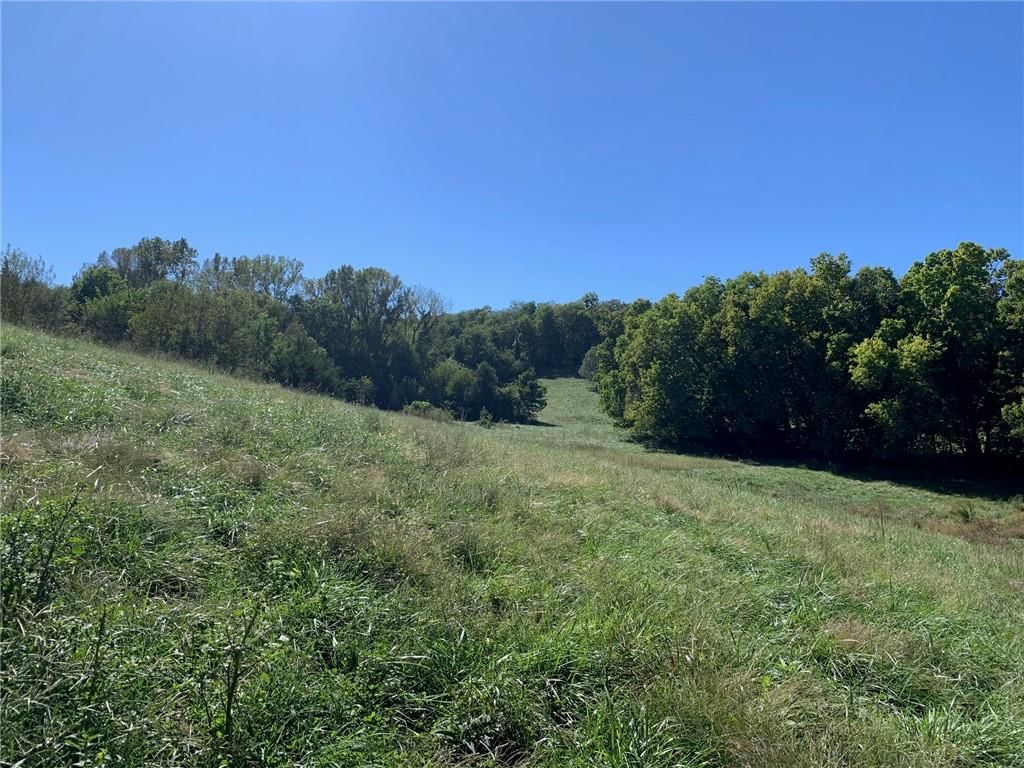 21755 Grass Pad Road, Platte City, MO: listing photo 3