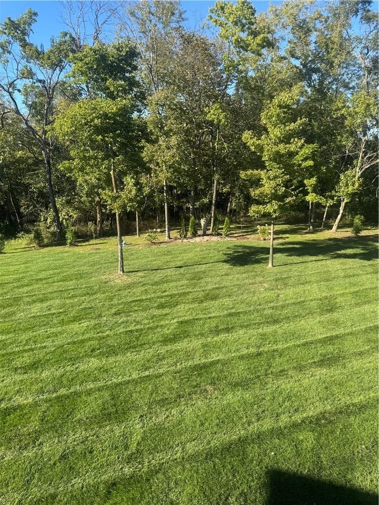 Big backyard and mature trees at 540 South Shore Drive, Lake Winnebago, MO 64034