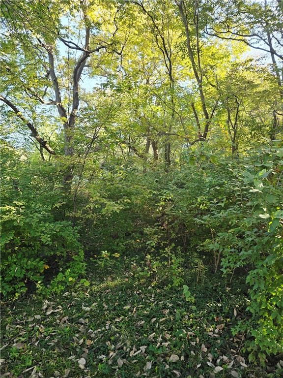 601 N McKissock Street, Pleasant Hill, MO: listing photo 2