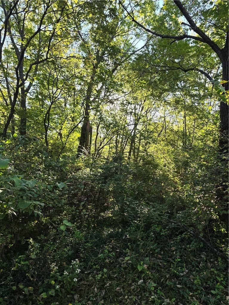 601 N McKissock Street, Pleasant Hill, MO: listing photo 3
