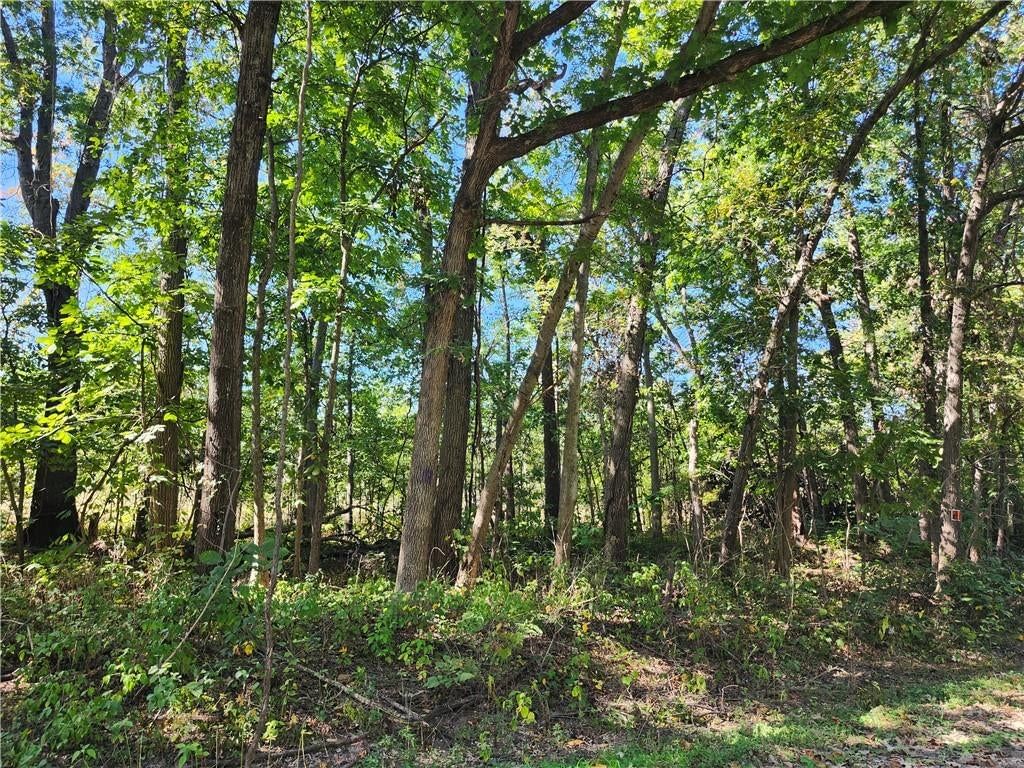 S Sawmill Road, Harrisonville, MO: listing photo 2