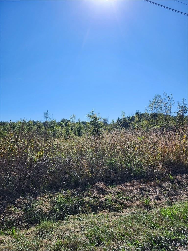S Sawmill Road, Harrisonville, MO: listing photo 3