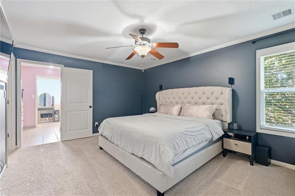 Accent wall and carpet at 16917 Cross Creek Drive, Belton, MO 64012