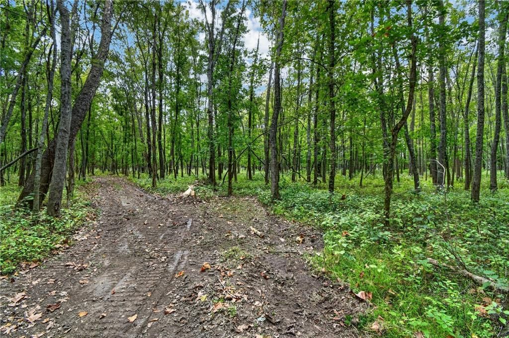 Photo 9 of 16 - TBD S Brush College Road