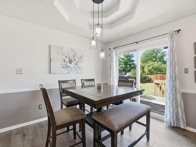 Statement lighting and tray ceiling at 713 NW Rosaceae Drive, Blue Springs, MO 64015