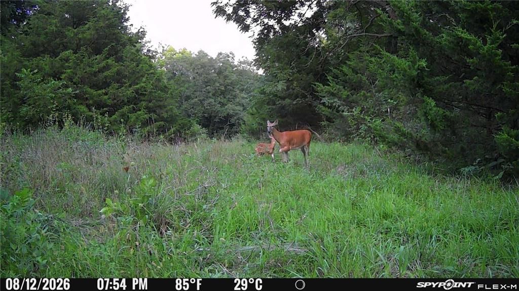 Photo 11 of 22 - Harmony Road, Paola, KS 66071
