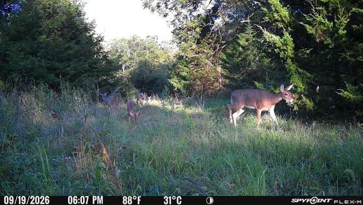 Photo 12 of 22 - Harmony Road, Paola, KS 66071