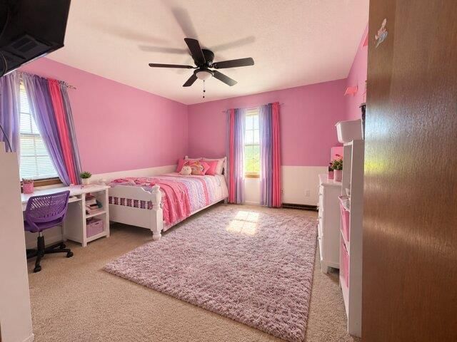 Accent wall and carpet at 7700 E 127 Place, Grandview, MO 64030