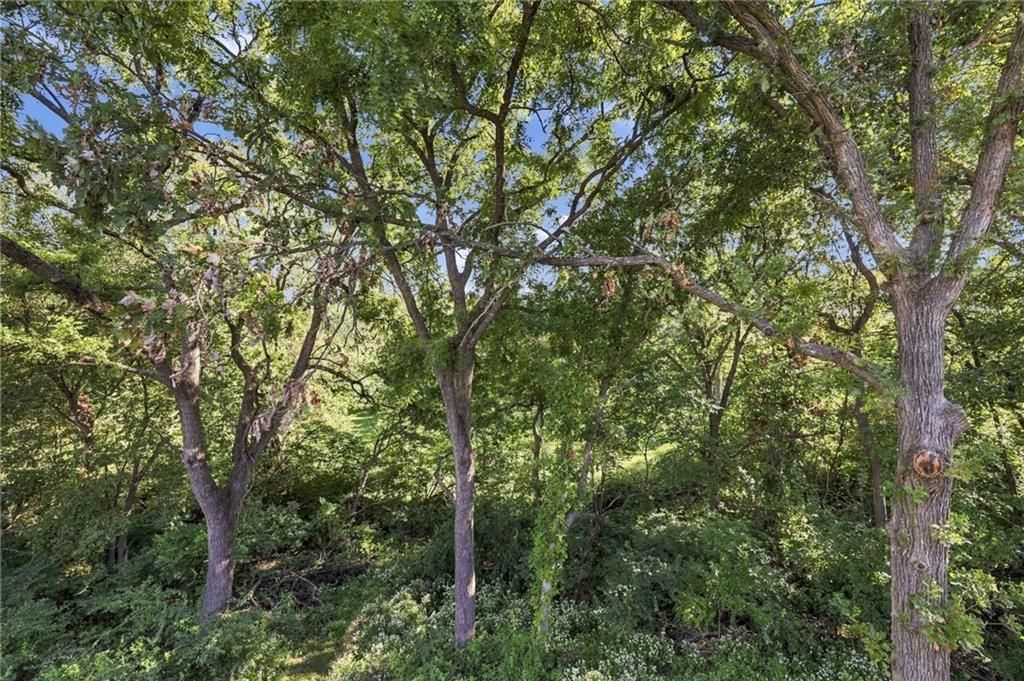 Mature trees at 9504 NW 87th Terrace, Kansas City, MO 64153