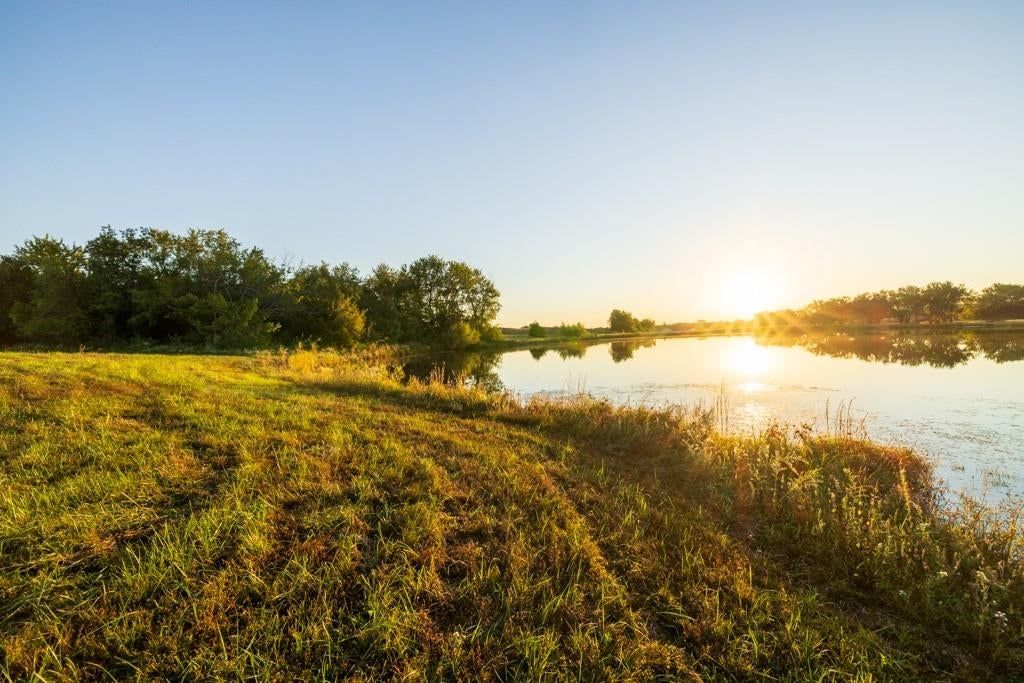 Photo 29 of 31 - 18149 167th Terrace