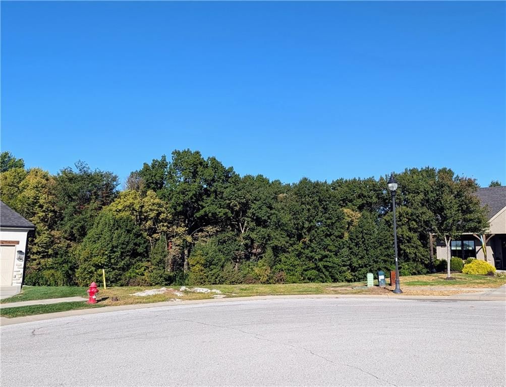 1810 Falcon Court, Kearney, MO: listing photo 3