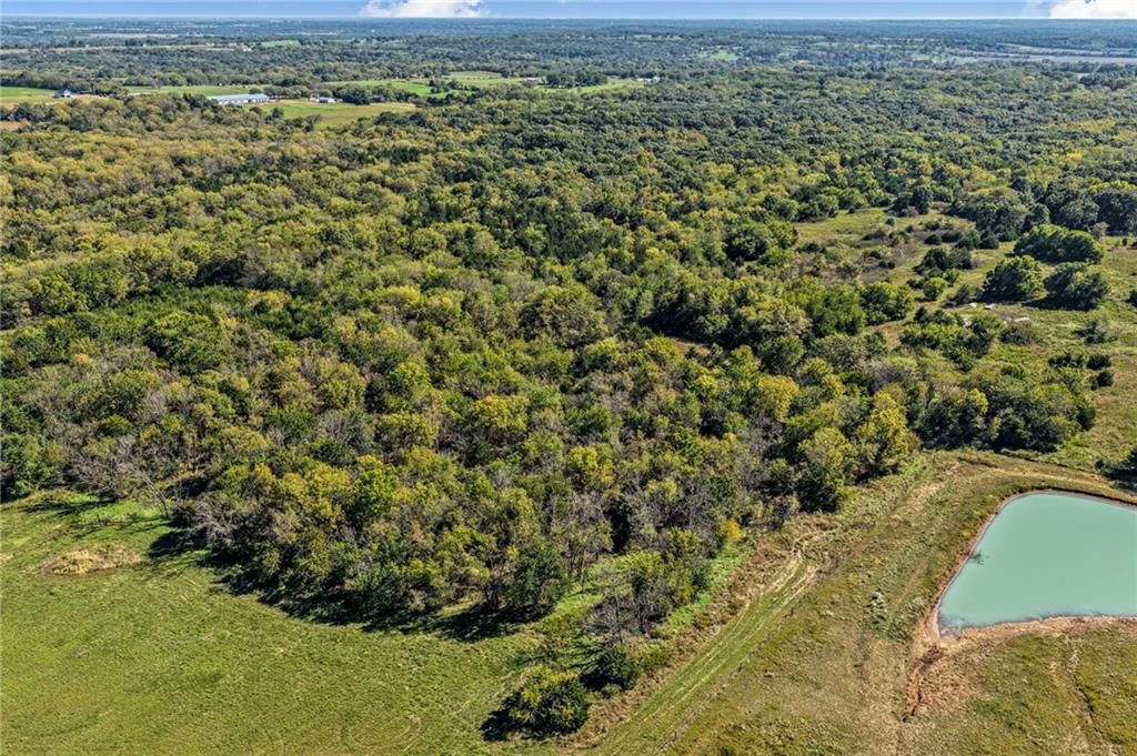 Mature trees at W 295th Street, Paola, KS 66071