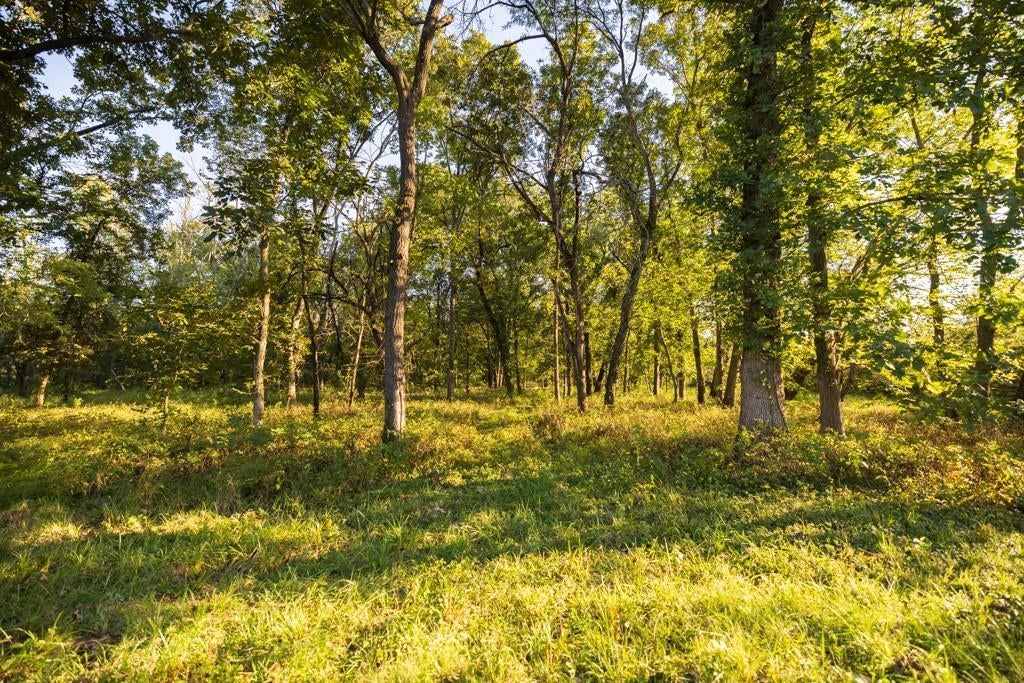 Photo 9 of 61 - 708 Poplar Ridge