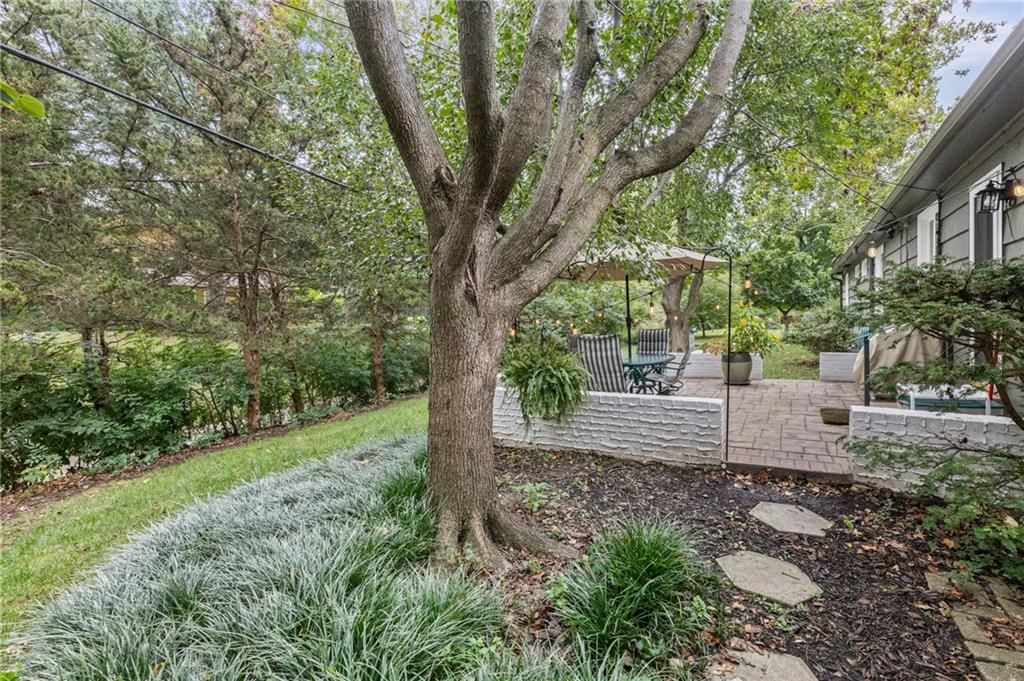 Mature trees at 6527 Maple Drive, Mission, KS 66202