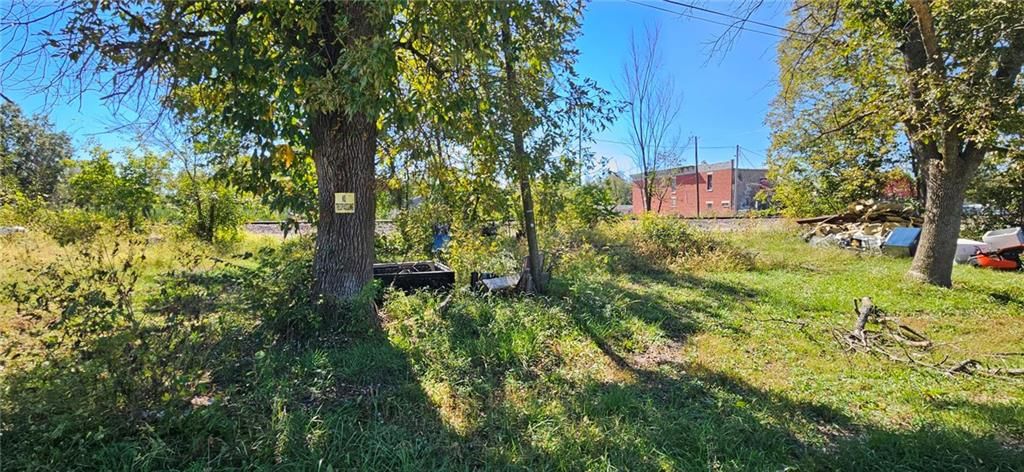 313 W Olinger Street, Strasburg, MO: listing photo 3