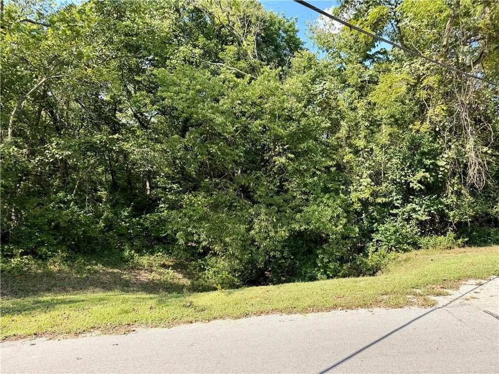 61 G Street, Lake Lotawana, MO