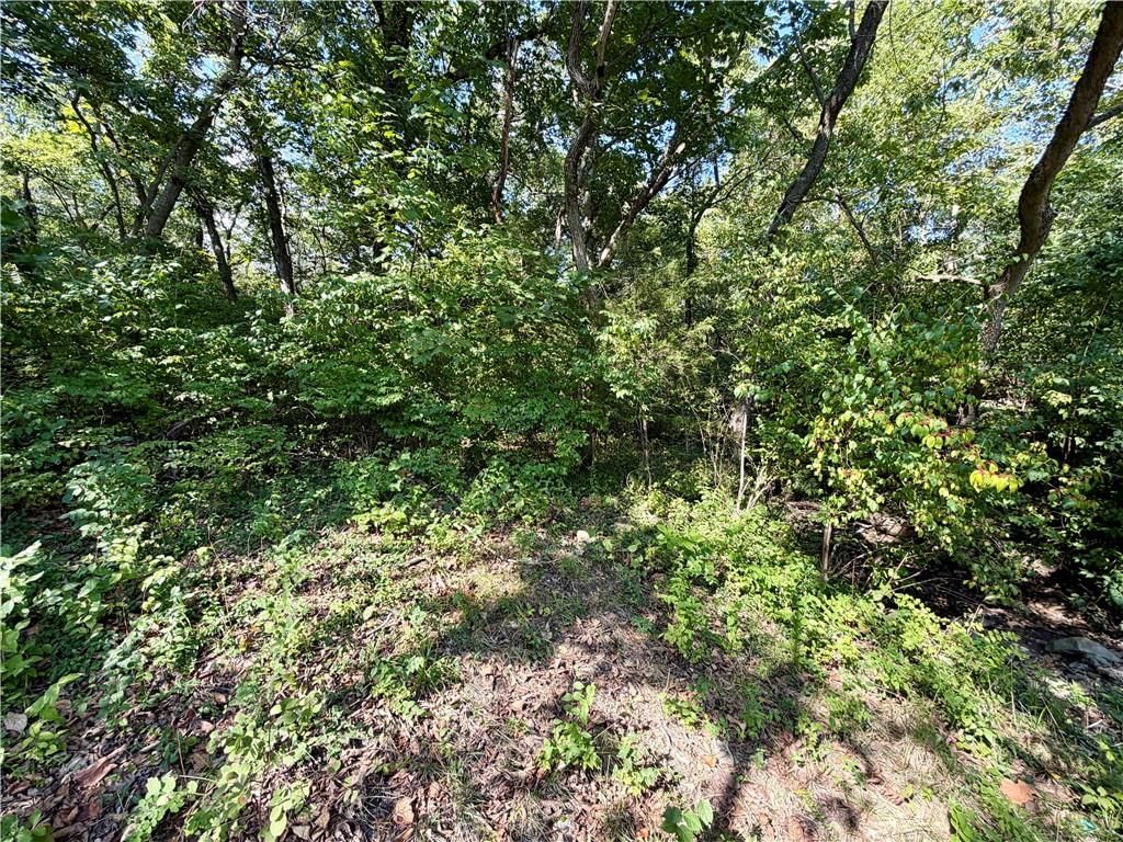61 G Street, Lake Lotawana, MO: listing photo 2