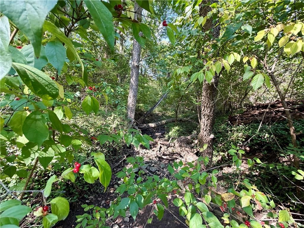 61 G Street, Lake Lotawana, MO: listing photo 3