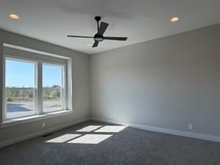 Carpet at 3347 SW Arborun Drive, Lee's Summit, MO 64082