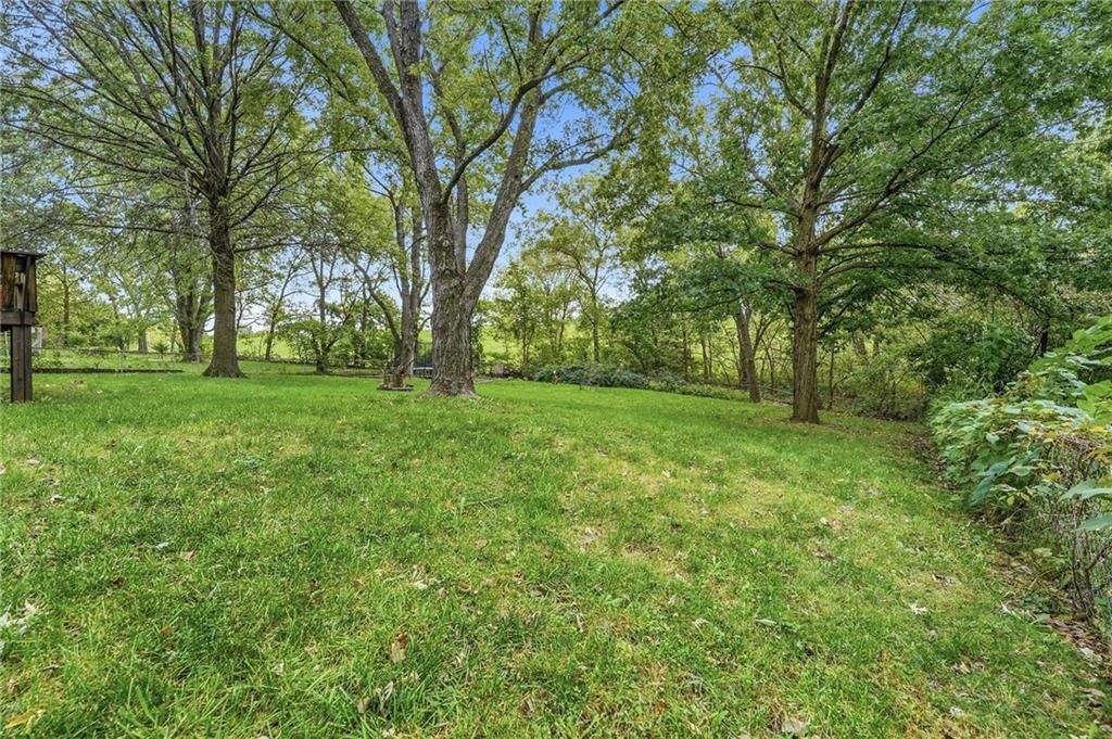 Big backyard, mature trees and flat lot at 14315 W 65th Street, Shawnee, KS 66216