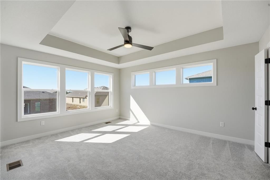 Tray ceiling and carpet at 18425 W 195th Street, Spring Hill, KS 66083