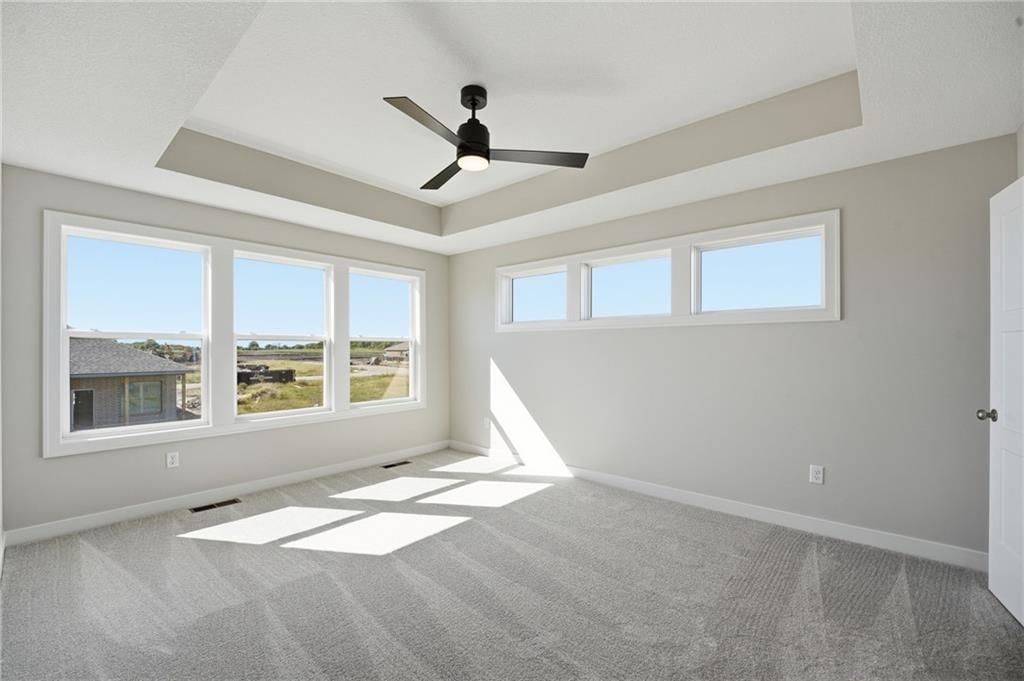 Tray ceiling at 18455 W 195th Street, Spring Hill, KS 66083