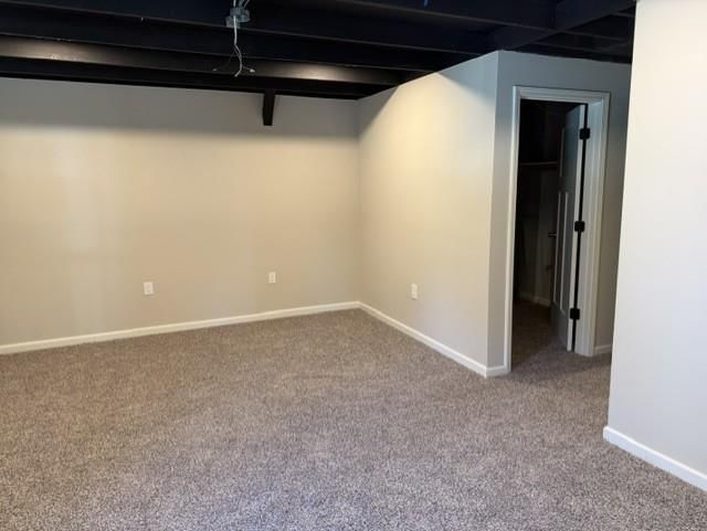 Carpet at 409 Holden Street, East Lynne, MO 64743