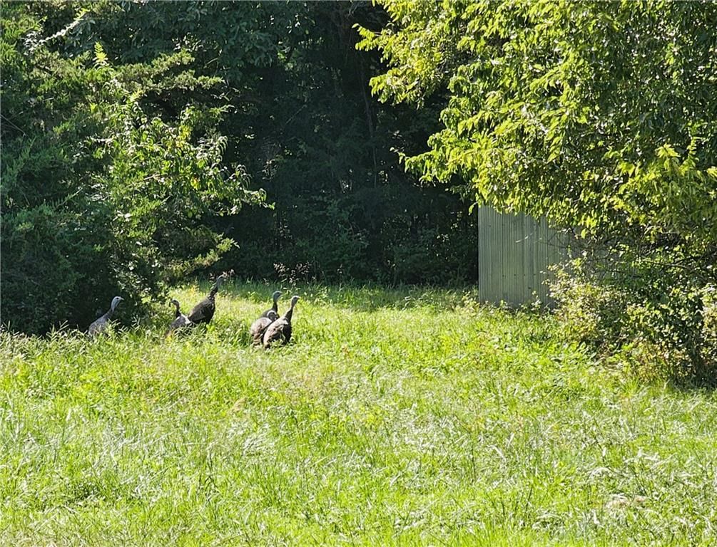 Photo 36 of 36 - 12580 S Red Bird Lane, Olathe, KS 66061