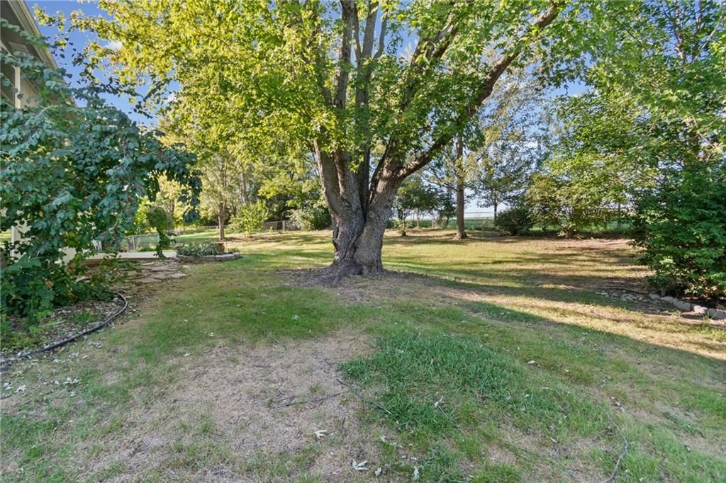 Big backyard and flat lot at 29408 Vickie Drive, Excelsior Springs, MO 64024