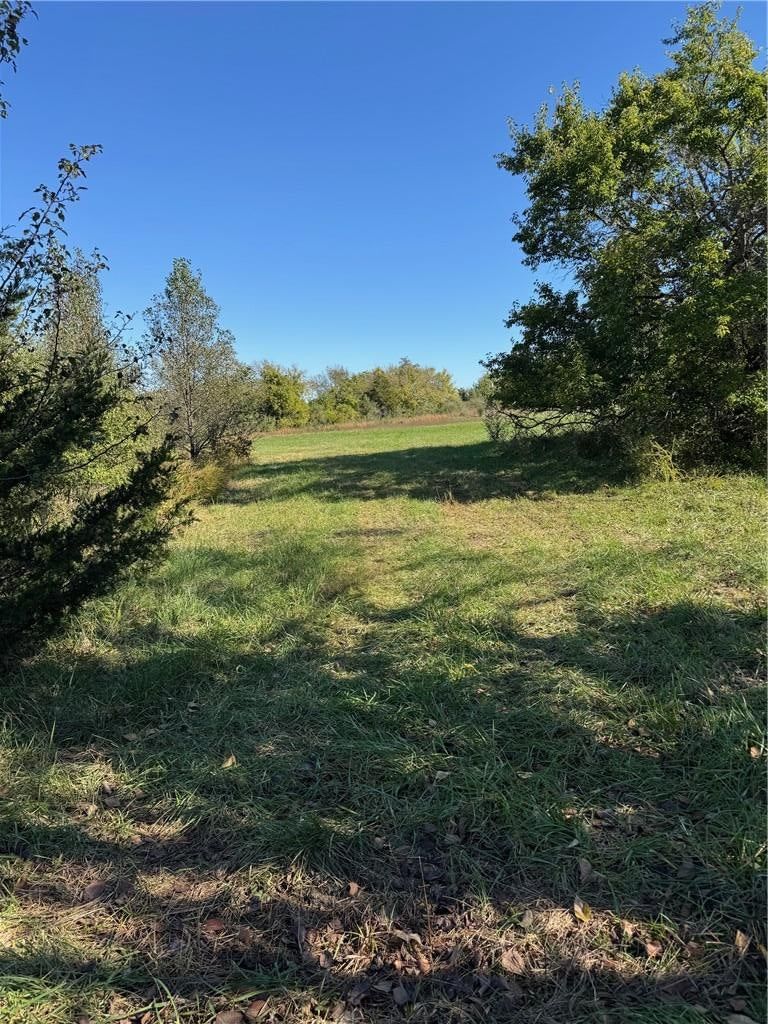 Photo 11 of 13 - 24705 Cowherd Road, Lee's Summit, MO 64064