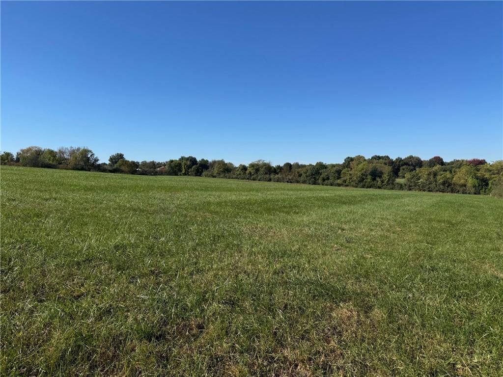 Photo 8 of 13 - 24705 Cowherd Road, Lee's Summit, MO 64064