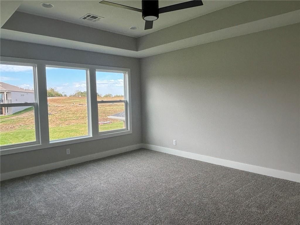Tray ceiling at 1820 SW Arbormist Drive, Lee's Summit, MO 64082