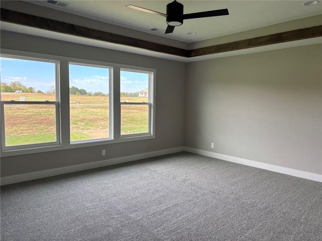 Tray ceiling and carpet at 1816 SW Arbormist Drive, Lee's Summit, MO 64082