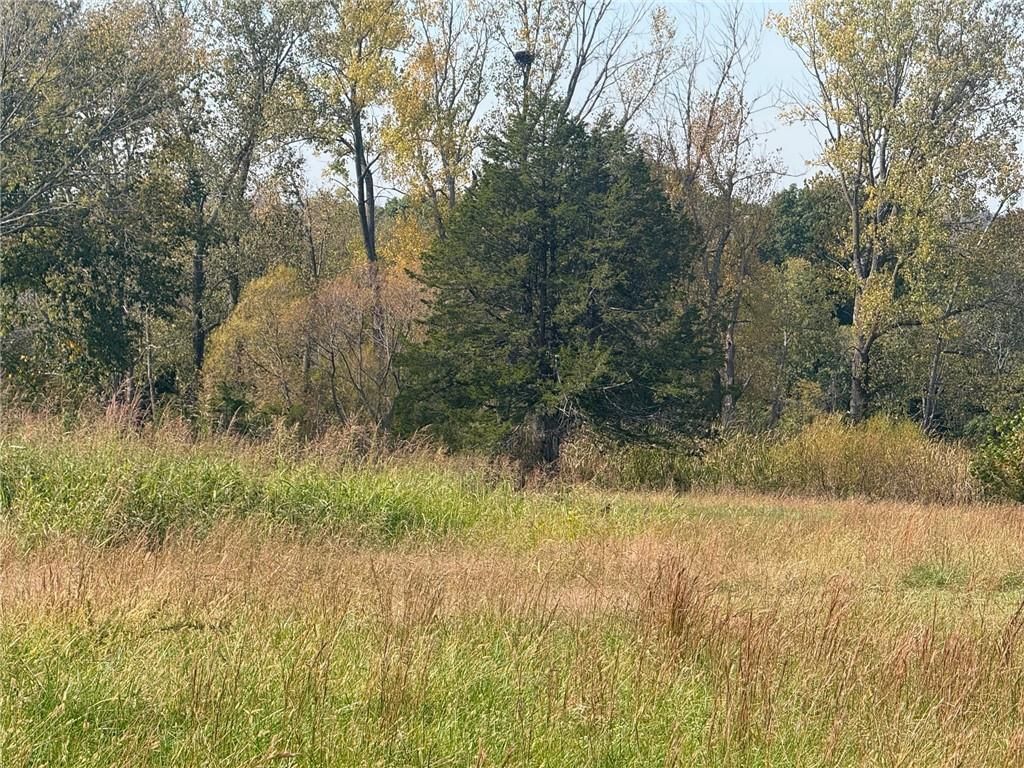 Photo 4 of 4 - 8840 Waverly Road