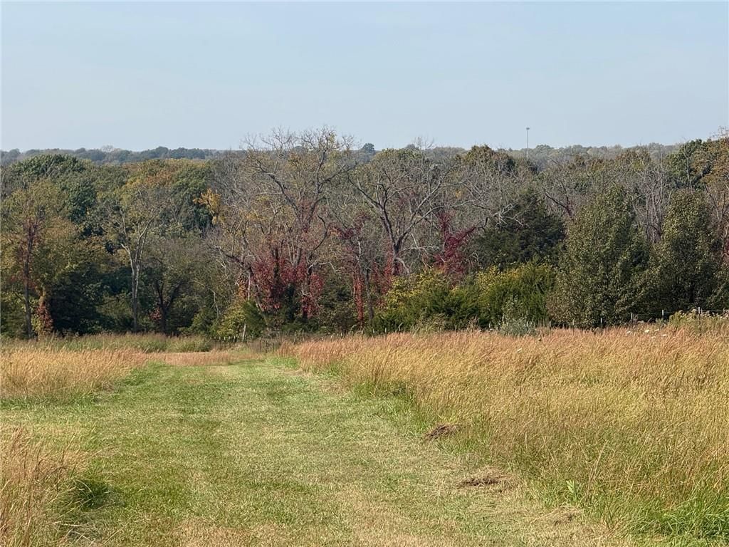 8840 Waverly Road, De Soto, KS: listing photo 3