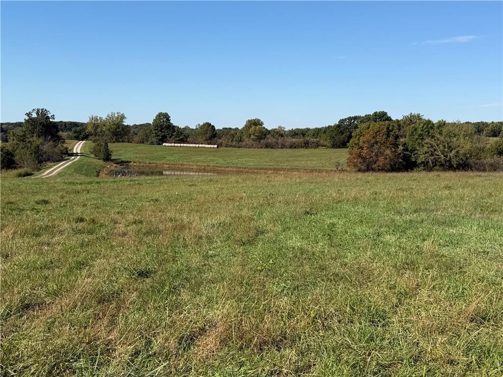 12014 214th Street, Linwood, KS: listing photo 2