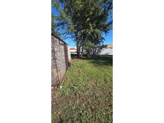 Mature trees at 829 N Dodgion Avenue, Independence, MO 64050