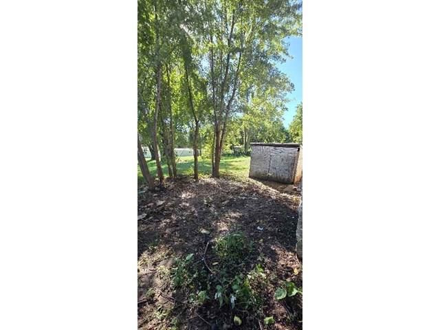 Photo 9 of 10 - 829 N Dodgion Avenue, Independence, MO 64050