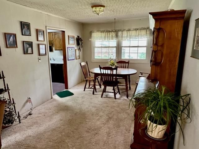 1416 Catalina N/A — photo 12