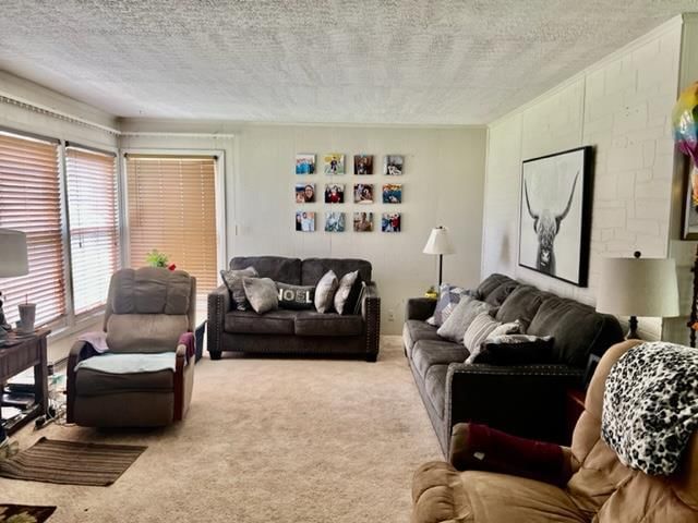 1416 Catalina N/A — photo 15