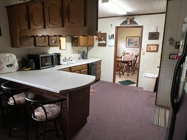 1416 Catalina N/A — photo 36