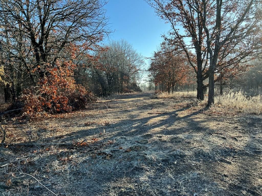 0000 CR 2561 G N/A — photo 14