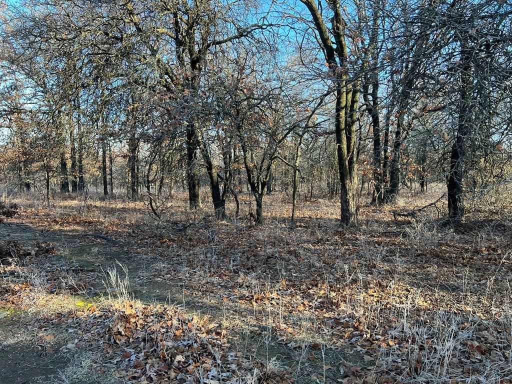 0000 CR 2561 G N/A — photo 16