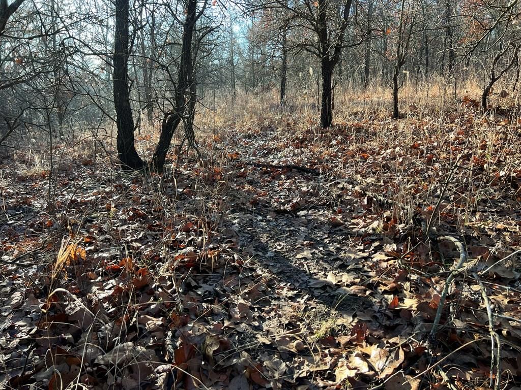 0000 CR 2561 G N/A — photo 21